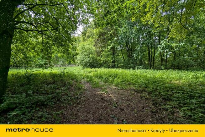 Zabytkowy Park Pałacowy/Dworski z XIX w. - 7.27ha