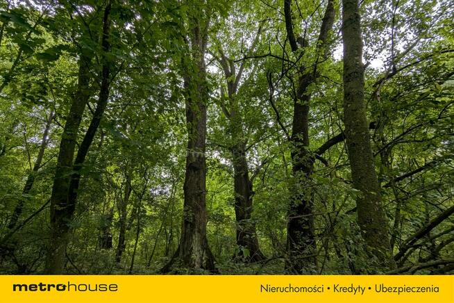 Zabytkowy Park Pałacowy/Dworski z XIX w. - 7.27ha