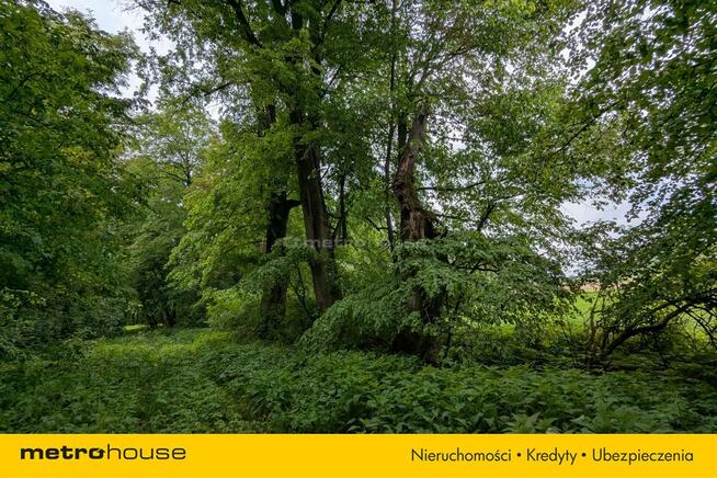 Zabytkowy Park Pałacowy/Dworski z XIX w. - 7.27ha