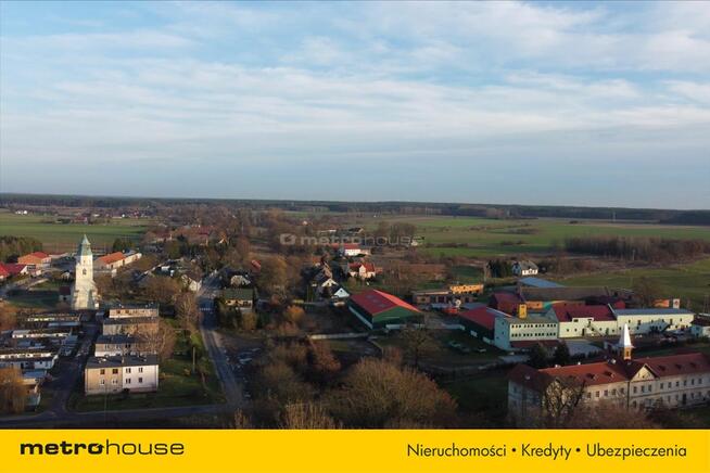 Kawałek lasu tylko dla siebie