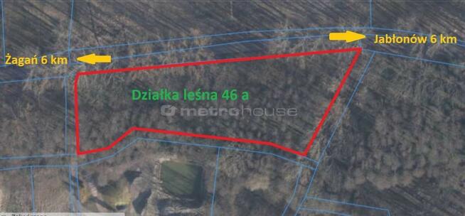 Kawałek lasu tylko dla siebie