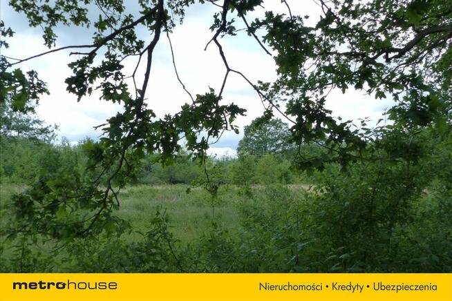 Działka blisko Pałacu - Dzietrzychowice k/Żagania