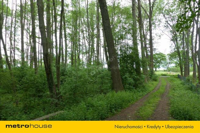 Działka blisko Pałacu - Dzietrzychowice k/Żagania