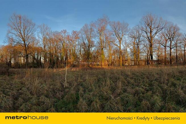 Działka blisko Pałacu - Dzietrzychowice k/Żagania