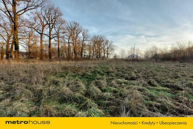 Działka blisko Pałacu - Dzietrzychowice k/Żagania
