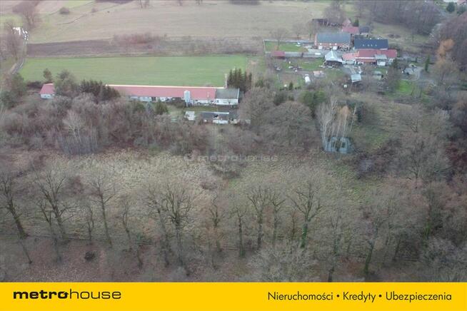 Działka blisko Pałacu - Dzietrzychowice k/Żagania