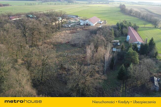 Działka blisko Pałacu - Dzietrzychowice k/Żagania