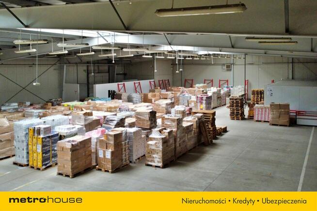 Biura i hala - idealne pod działalność