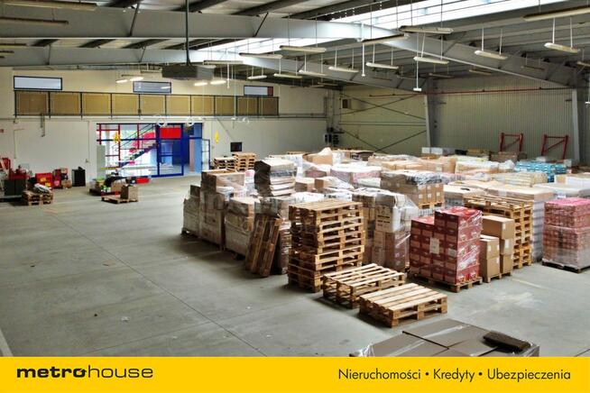 Biura i hala - idealne pod działalność