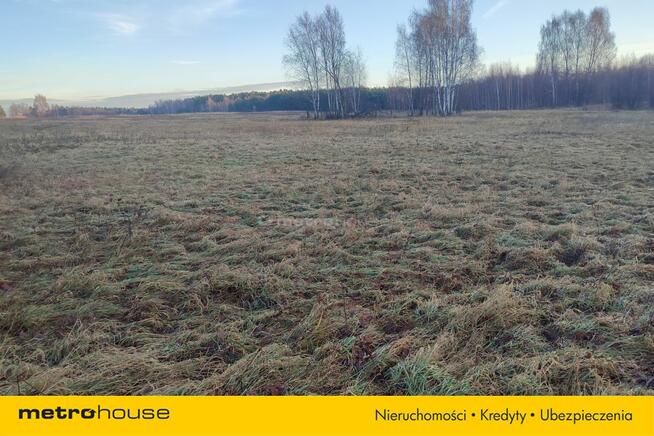 Działka pod magazyn energii i farmę PV