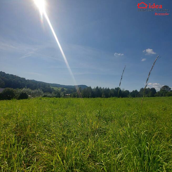 Działka Jasienica Rosielna