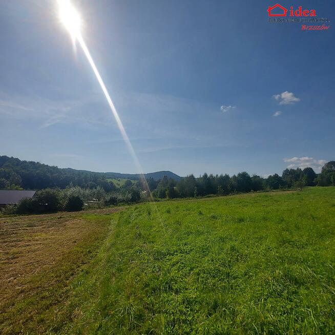 Działka Jasienica Rosielna