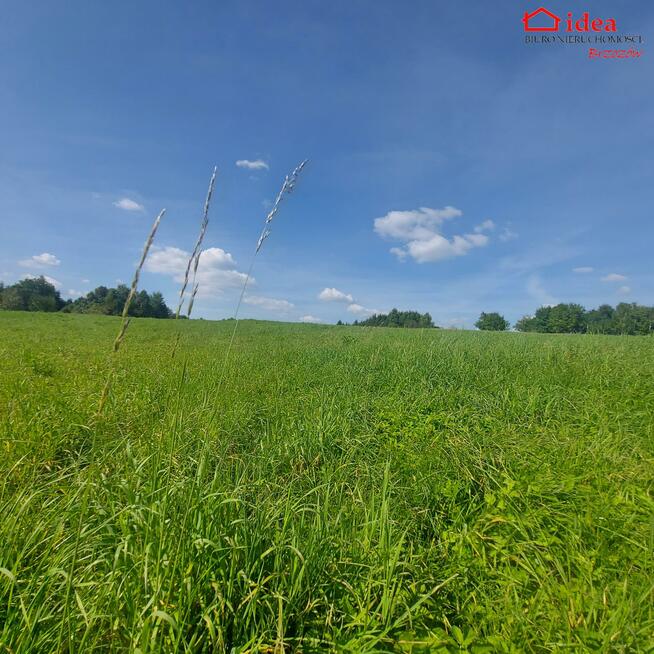 Działka Jasienica Rosielna