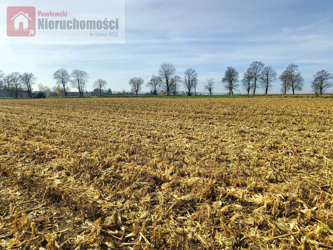 Działka budowlana Prandocin-Iły gm. Słomniki