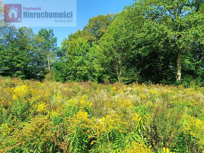 Działka budowlana Zygodowice gm. Tomice