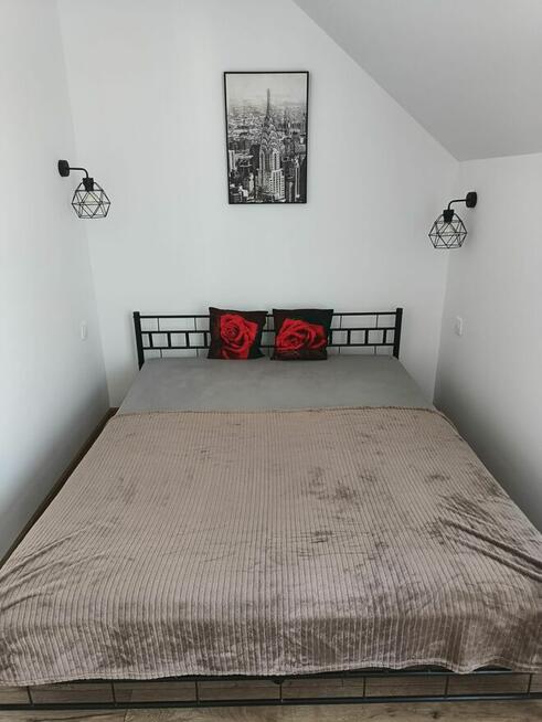 Wynajmę dom z ogródkiem w Rzeszowie