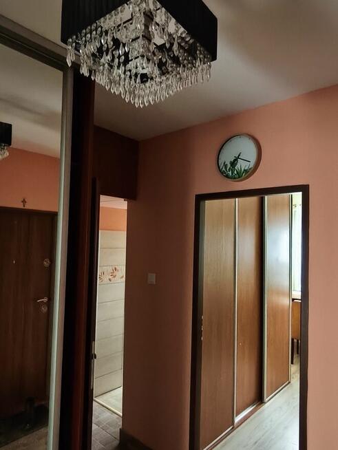 Mieszkanie 3-pokojowe na wynajem/sprzedaż/zamianę