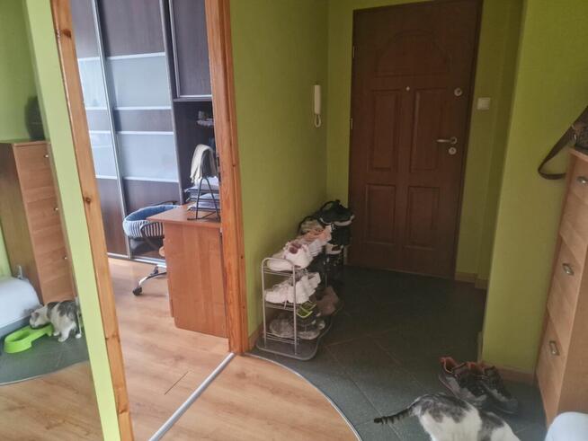 Lokal mieszkalny - Lubawa