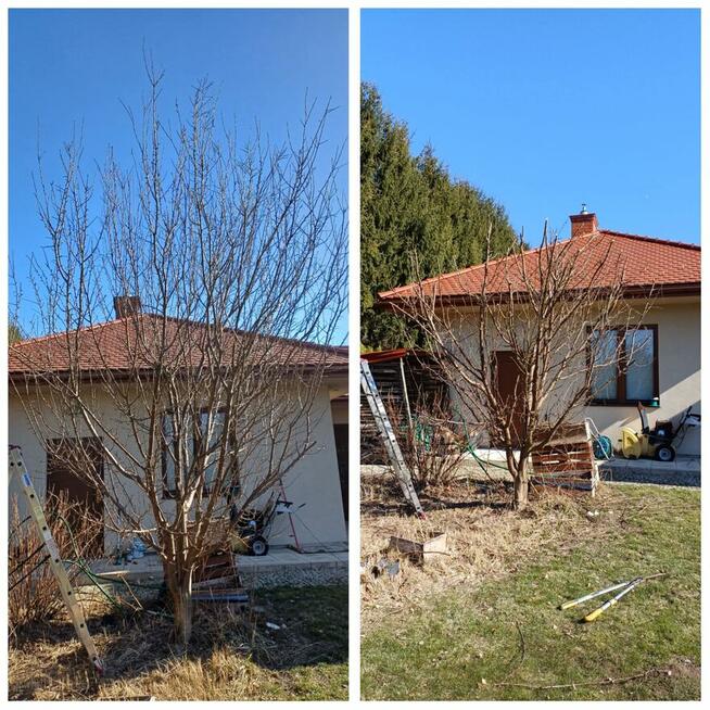 Pomoge w pracach ogrodniczych