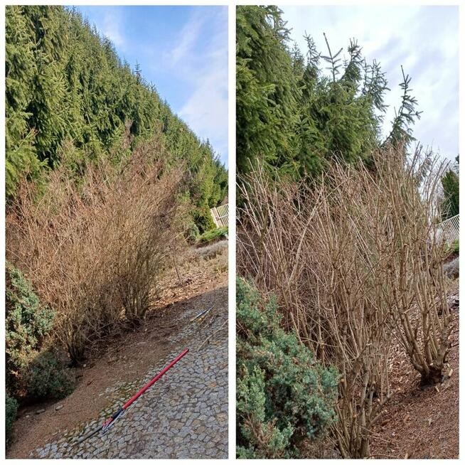 Pomoge w pracach ogrodniczych