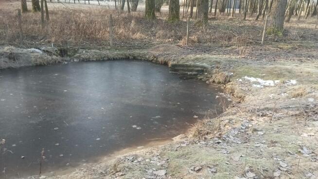 Stajnia wolnowybiegowa nawyłączność 30mi do Warszawy k.Żyrad
