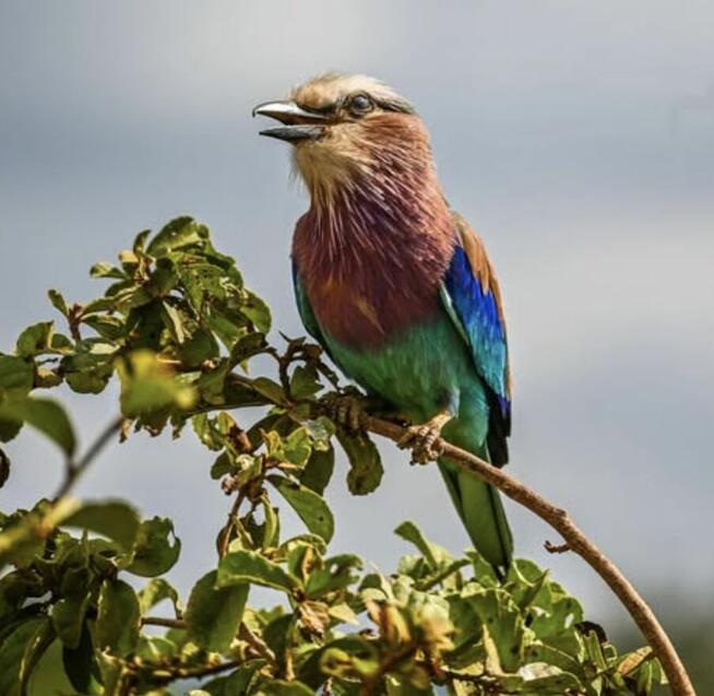 Darmowe sesje foto i wideo | Kamerzysta & Fotograf – buduję