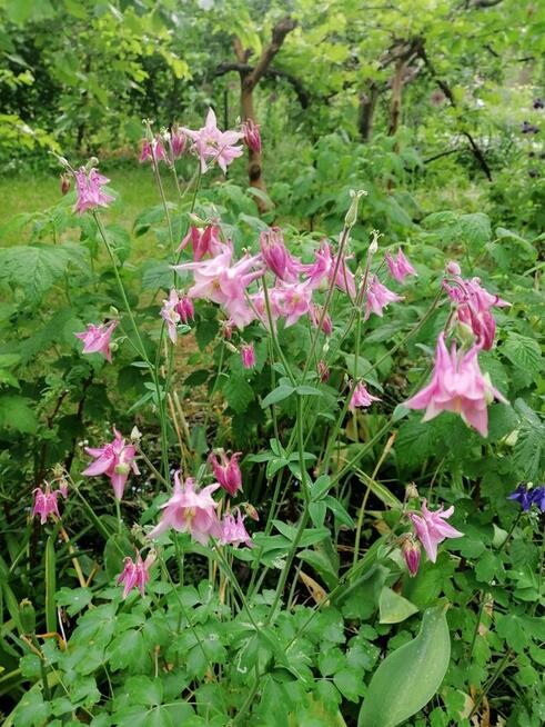 Oaza spokoju w środku miasta.