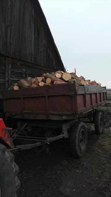 Sprzedam drewno sosna opałowe