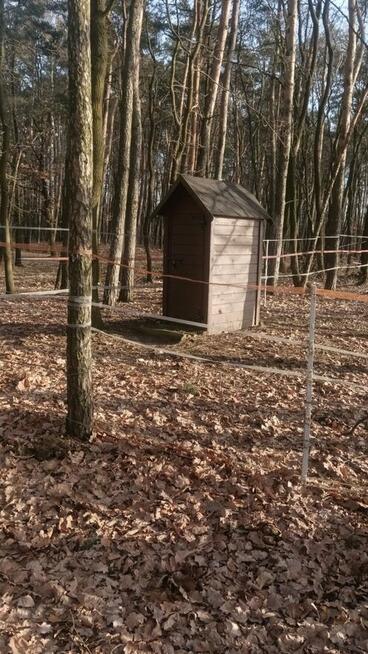 Stajnia wolnowybiegowa nawyłączność 30mi do Warszawy k.Żyrad