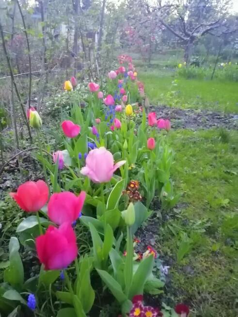 Oaza spokoju w środku miasta.