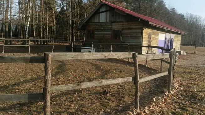 Stajnia wolnowybiegowa nawyłączność 30mi do Warszawy k.Żyrad