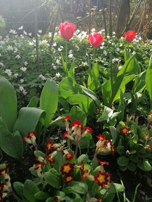 Oaza spokoju w środku miasta.