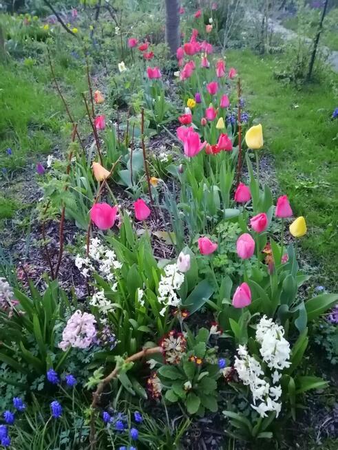 Oaza spokoju w środku miasta.