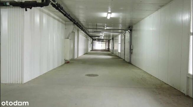 Nieruchomość - Koszalin