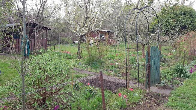 Oaza spokoju w środku miasta.