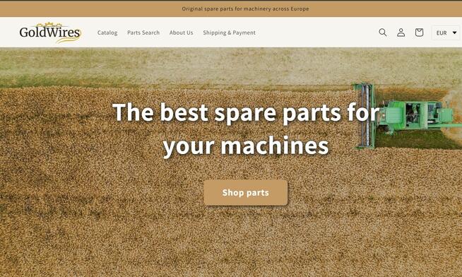 Tworzenie stron internetowych dla małych firm