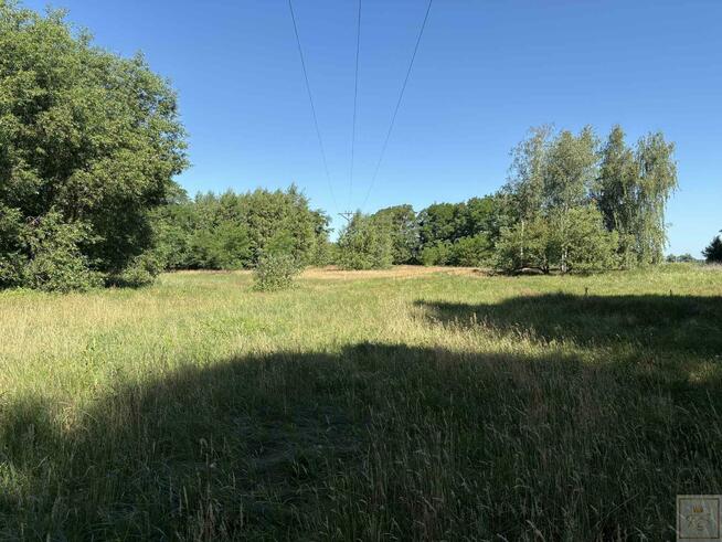 Działka siedliskowa Osowo Stare gm. Oborniki