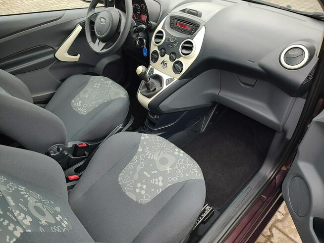 Ford KA Trend Plus 1.2 benzynowy 69 KM FE43257