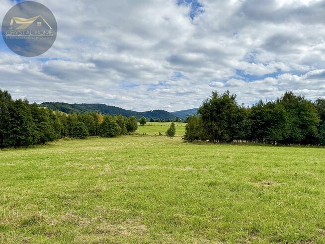 Działka rolna Michałkowa gm. Walim