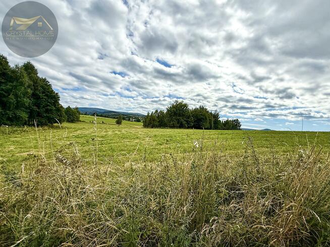 Działka rolna Michałkowa gm. Walim