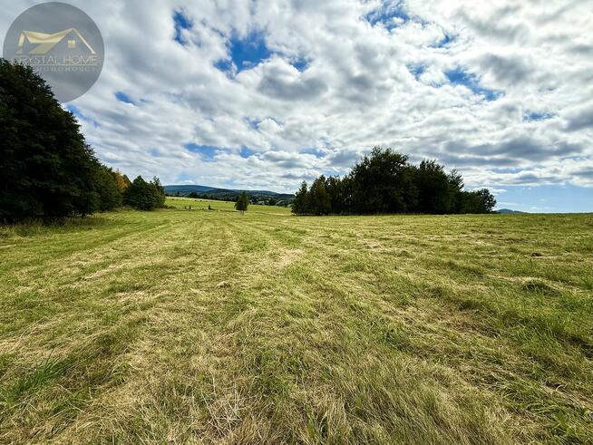 Działka rolna Michałkowa gm. Walim