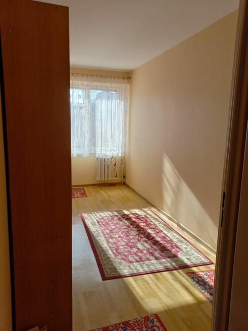 Mieszkanie Aleksandrów Łódzki, Rafała Bratoszewskiego