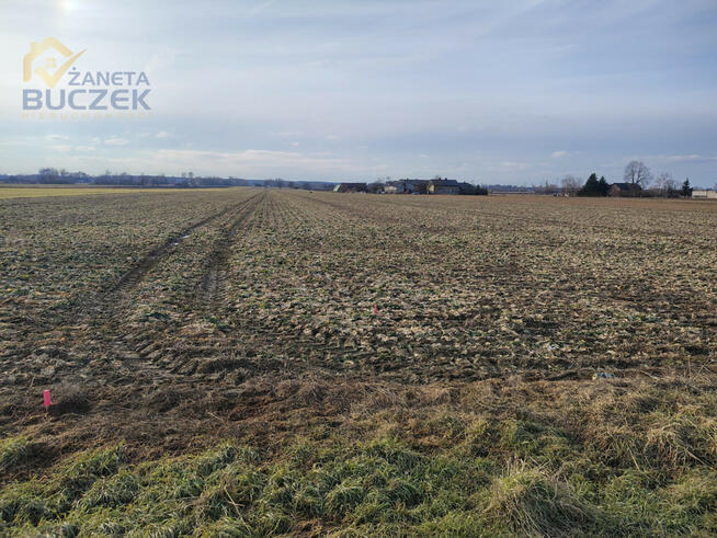 Działka rolna Bronisławy gm. Sochaczew,