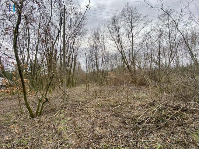 Działka rolna Nadolna gm. Dmosin,