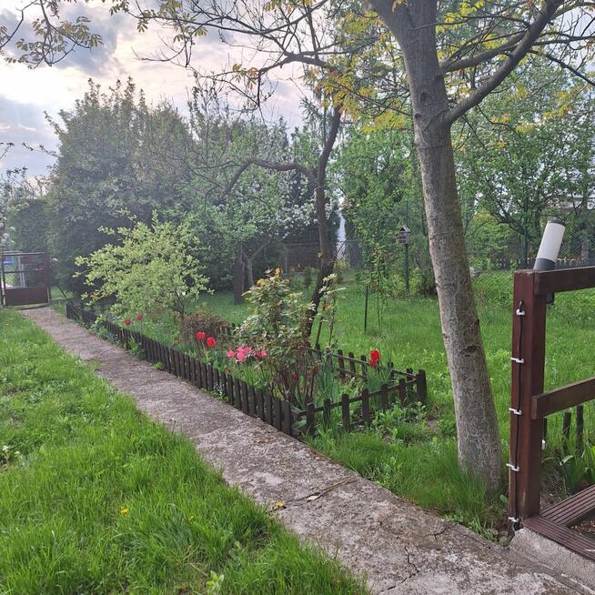 Działka rekreacyjna Częstochowa Błeszno, Palmowa