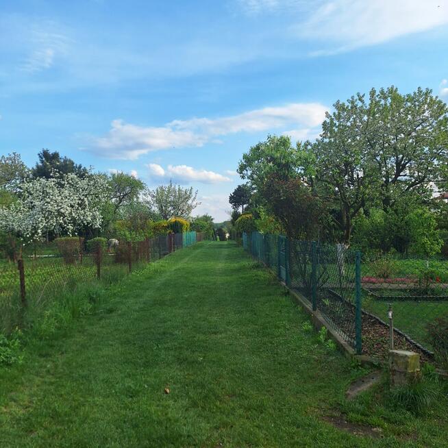 Działka rekreacyjna Częstochowa Błeszno, Palmowa