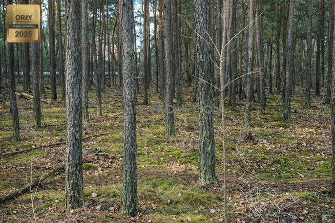 Działka budowlana Legionowo,