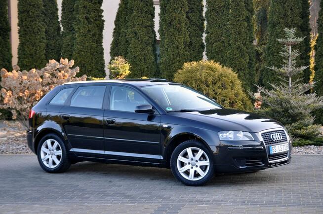 Audi A3 1.9TDI(105KM)*Sportback*Welut*Klimatronik*Chrom*Reling*Alu16"ASO