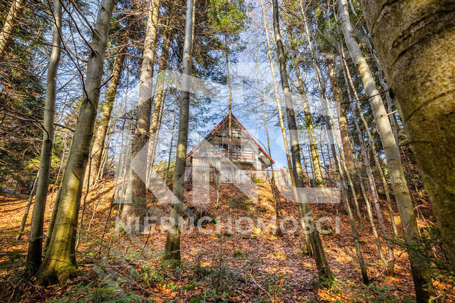 Dom w sercu natury – Sidzina | 100 m² | las, potok