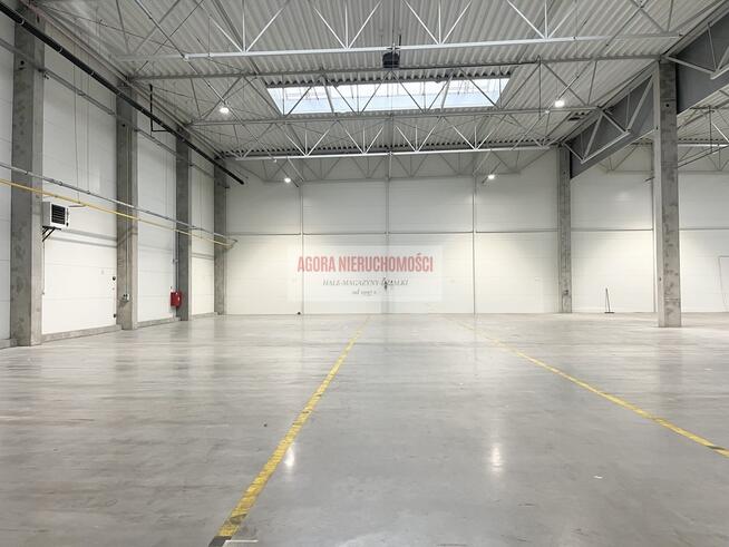 HALA PRODUKCJA 2500 M2 DOKI, BRAMY "0" Rybitwy